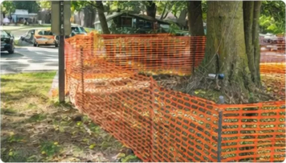 Construction protection zones and root care planning