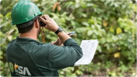 Tree risk conversations using TRAQ-style thinking